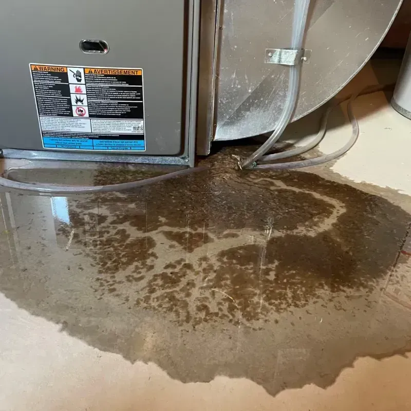 Appliance Leak Cleanup in Boonville, NY